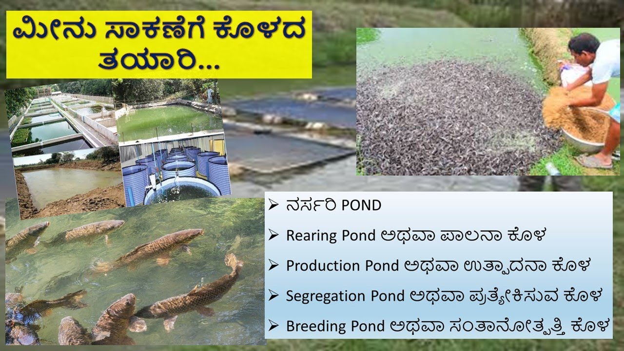 ಮೀನು ಸಾಕಣೆಗೆ ಕೊಳದ ತಯಾರಿ #Fish_Pond_Preparation #Fish_Farming_in_kannada #
Fishpond