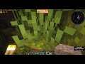 Gearing up for the nether for fire quartz | Minecraft Sunlit Valley [pt 33]