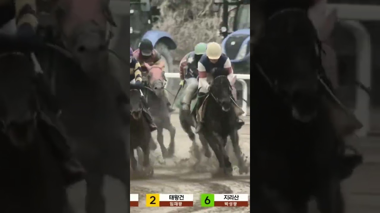 23배또적중4-2  01055876275