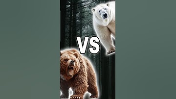 Grizzly Bear vs Polar Bear: Who Would Win in a Battle of Giants? #shorts
