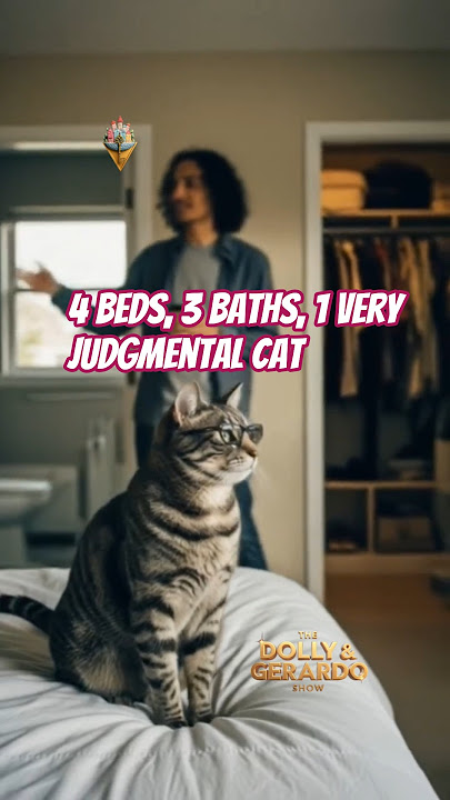 😼 Dolly Reviews This Guelph Rental | 4-Bedroom Townhouse Chaos! 🏡 #dollythecat #gerardobarake #indie