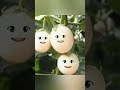 Cute AI Animation for kids"#Talkingmirch #AIAnimation /Ai Animation Lab2