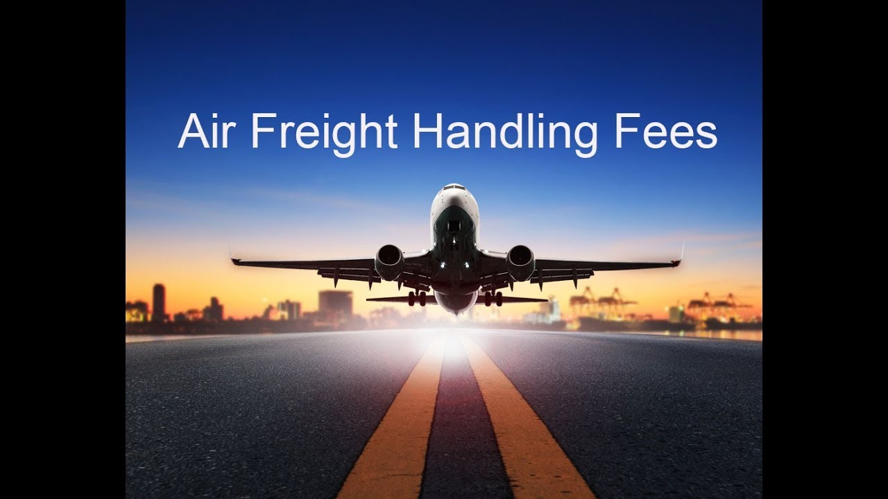 Lenn Mayhew Lewis - Air Freight Handling Fees