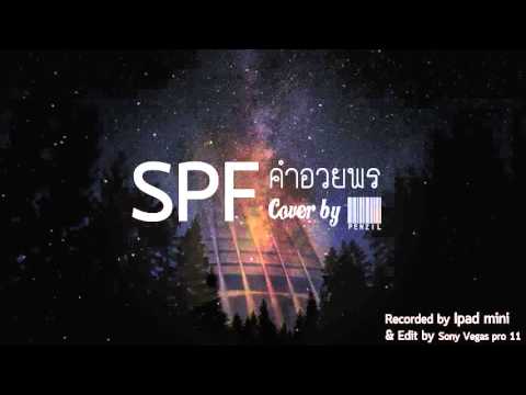 SPF - คำอวยพร Cover by Penzil