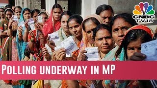 Polling Underway In MP: MP Assembly Elections: 230 Seats At Stake In MP Assembly Elections