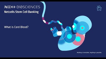 Next Biosciences | What is Cord Blood