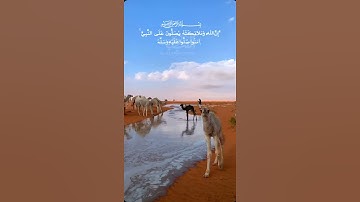 إِنَّ اللَّهَ وَمَلائِكَتَهُ يُصَلُّونَ عَلَى النَّبِيِّ [سورة الأحزاب:56