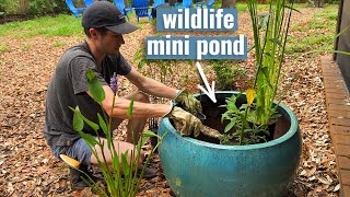 How to Create Your Own Mini Pond for Thriving Backyard Wildlife