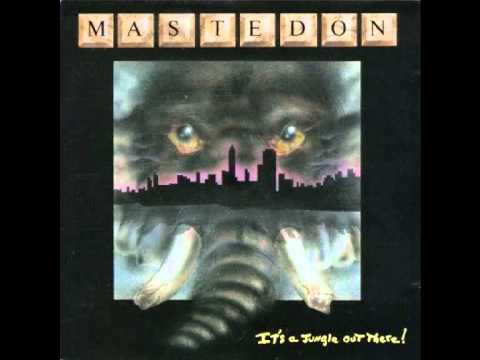 Chu :2001:: Botando os meus mais preciosos… - Mastodon 🐘