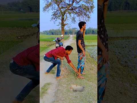 The man was behind it.#villagefunny520 #shorts #funny #comedy #viralvideo #trending