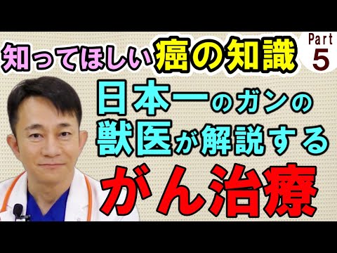メルファランって安全？犬猫の抗がん剤、副作用と対処法を解説