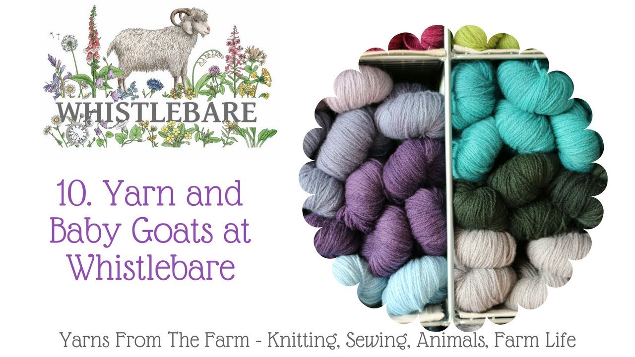 10. Yarns and Baby Goats at Whistlebare YouTube