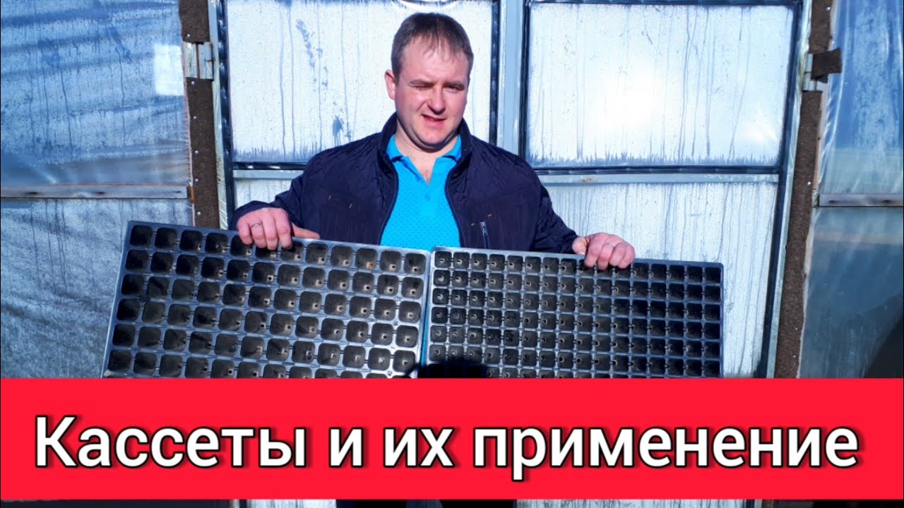 Вход на сайт