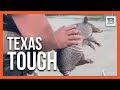 &quot;Poor Little Fella&quot;: Armadillo Rescued from High Floodwaters in Southeast Texas