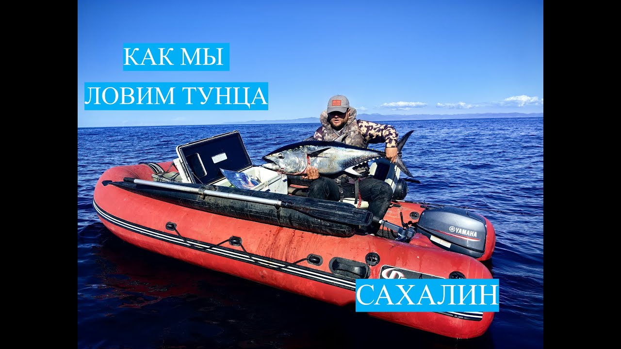 Как мы ловим тунца #рыбалка #сахалин #fishing #туризм #tuna #bluefintuna