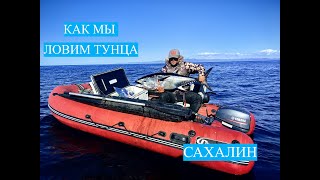 Как мы ловим тунца #рыбалка #сахалин #fishing #туризм #tuna #bluefintuna