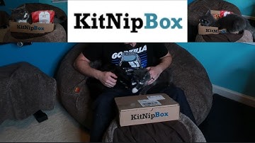 KitNipBox November 2023 | Merry Xmas | Unboxing & Review