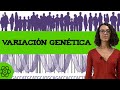 Variación genética continua VS discontinua 👫