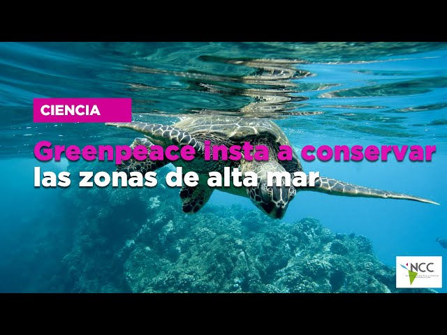 Greenpeace insta a conservar las zonas de alta mar