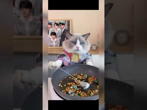 वीडियो: म्याऊं सिर बिल्ली का खाना कहाँ बनाया जाता है?
