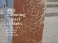 Wind Collecting Project at Maiko Aeolian Harp
