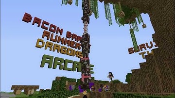 The Largest Mineplex Stack!