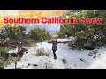 Snow and Deer in Julian California. Town, Mountain and Restaurant Travel Vlog
