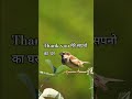 thank you mere sapne ka ghar pane k liye #daily affirmation #gratitude #song