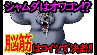 【テリワンSP】シャムダは古い！？脳筋野郎はコイツで決まり！！元シリーズ全一による脳筋考察。