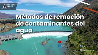 Métodos De Remoción De Contaminantes Del Agua Designexpert