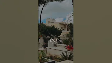 أراك رحلت يا عمري 