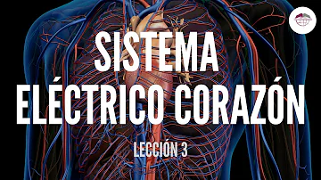¿Cómo se llama el sistema eléctrico del corazón?