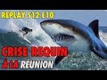 Replay s12 e10  crise requin a la reunion