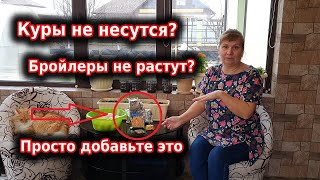 Куры не несутся?🐓Бройлеры не растут? 🐓 Дрожжевание кур несушек 🐓