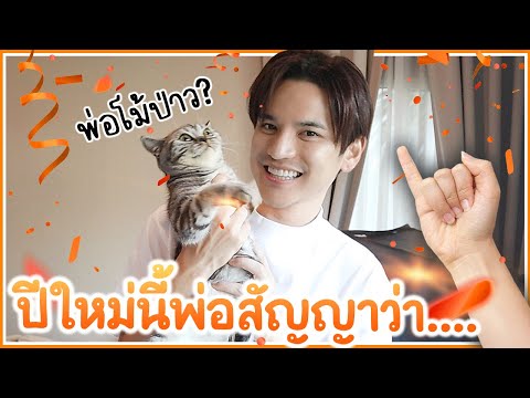 ทำสัญญากับแมว-ปีใหม่-2022!!-