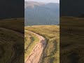 Полонина Красна Карпати Закарпаття 