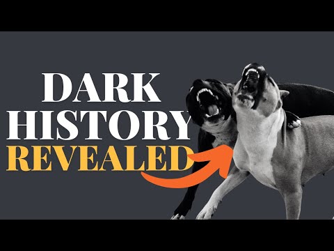 Vídeo: Por que os Staffordshire Bull Terriers têm má reputação?