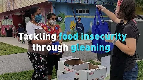 Tackling food insecurity through gleaning