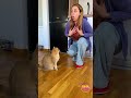 When Your Feline Friend Masters the Art of Ignoring You 😼🤣