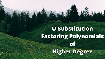 Factoring U Substitution