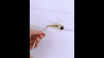 Refrigerator Drain Hole Cleaning Dredge Tool 6pcs/set