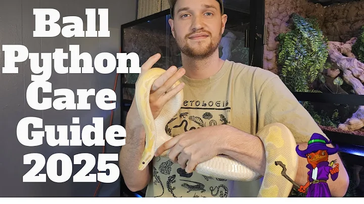 Ball Python Care Guide 2025! Ball Python Beginners Guide!