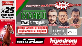 19 Mayıs 2024 // İstanbul At Yarışı Tahminleri // Halil Köse - Şahin Uluç - Çakmak (Puan Hediyeli)