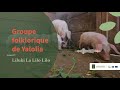 Groupe Folklorique De Yalolia Liluki La Lilo Lilo Groupe Folklorique De Yalolia Liluki La Lilo Lilo