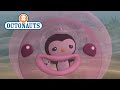 Octonauts - Jumpin' Jellyfish!