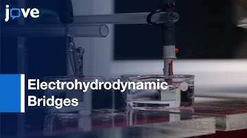 Electrohydrodynamic Bridges Synthesis from Polar Dielectric Liquids | Protocol Preview
