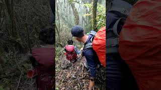 Pusat Mengabarkan Waktunya Healing Broohh