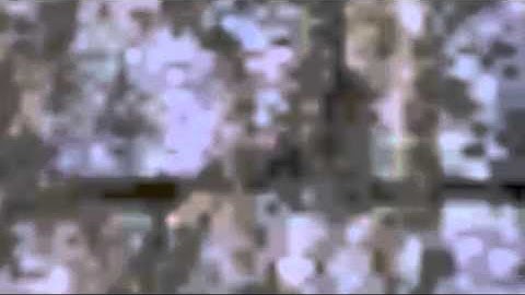 Enemy Territory Small Bugvideo [True Classics That Piss Off All]