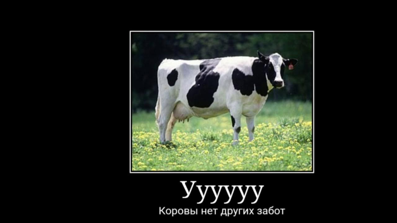 У нее нет забот. У нее нет забот