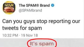 memes you didn't know you wanted